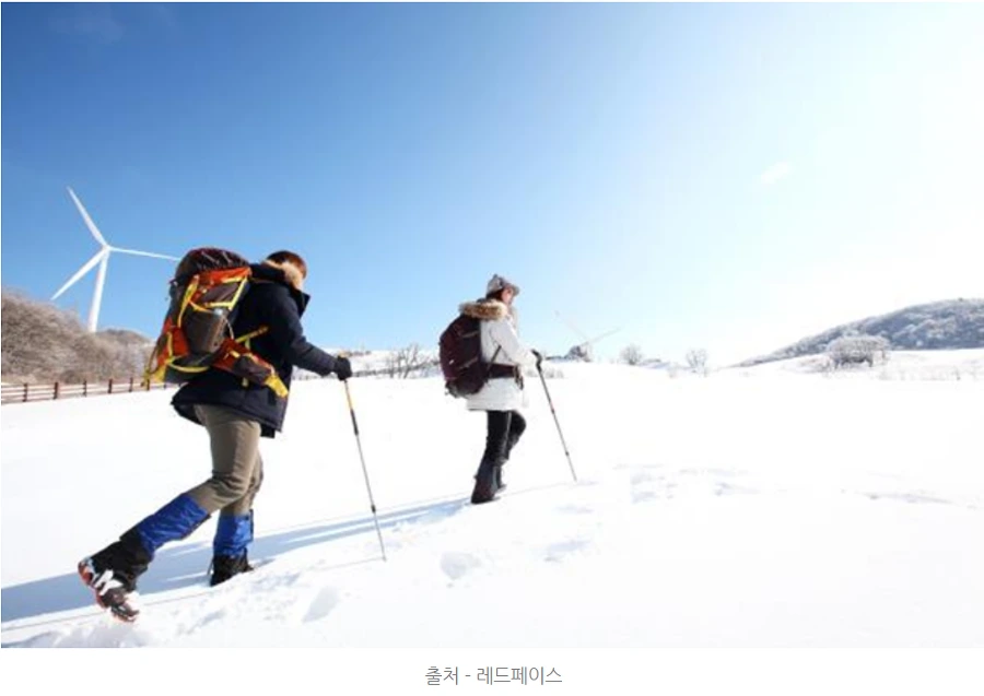 995757355A52FDAF19CE72