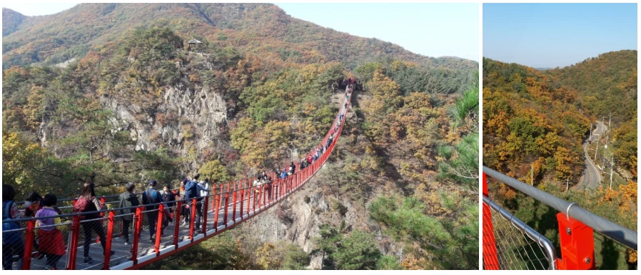 9921B43359F7D70933BD9F