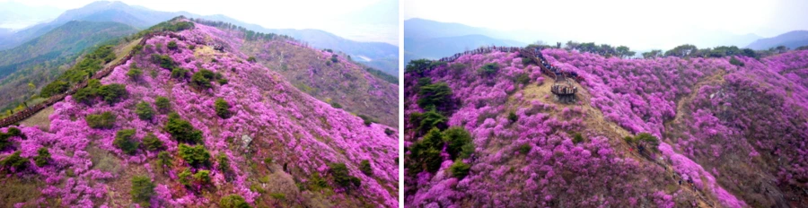 990DED475AAF5C532C89CF