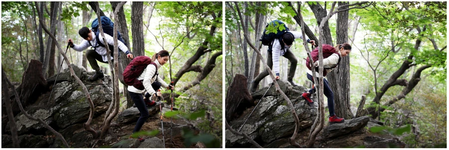 9976403359E59E6212FC6A