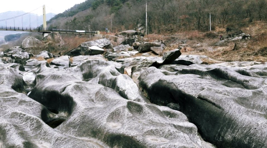 99D356415A9663421157C2