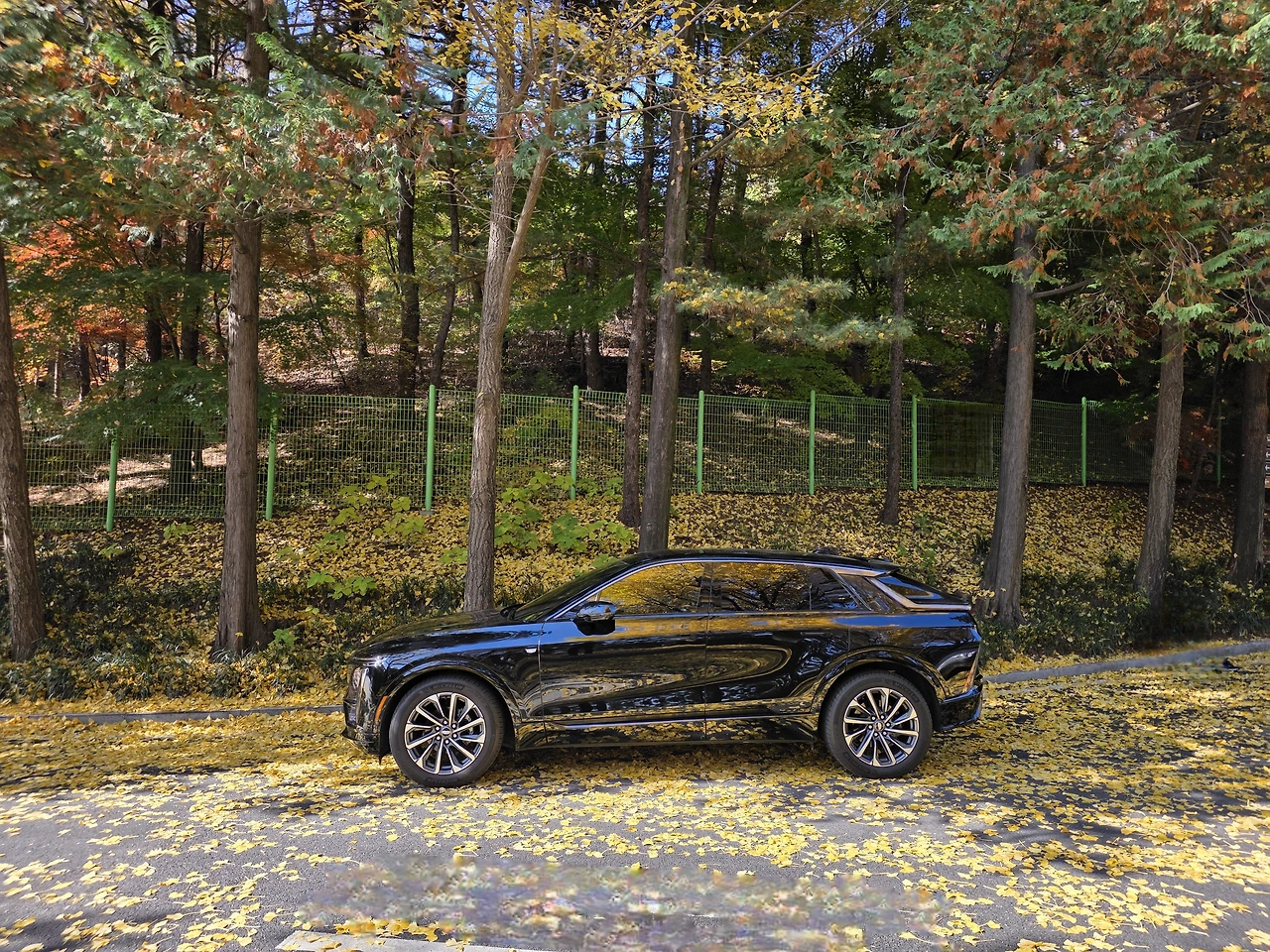 img.jpg?credential=yqXZFxpELC7KVnFOS48ylbz2pIh7yKj8&expires=1764514799&allow_ip=&allow_referer=&signature=fhB%2BbjkdPSJJsGO%2BfPQhGDYz1is%3D