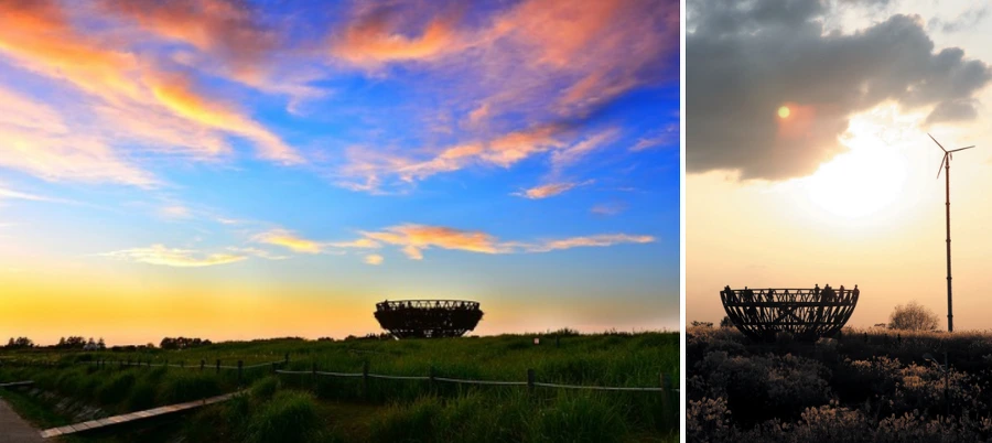 994501335A097572229BF4