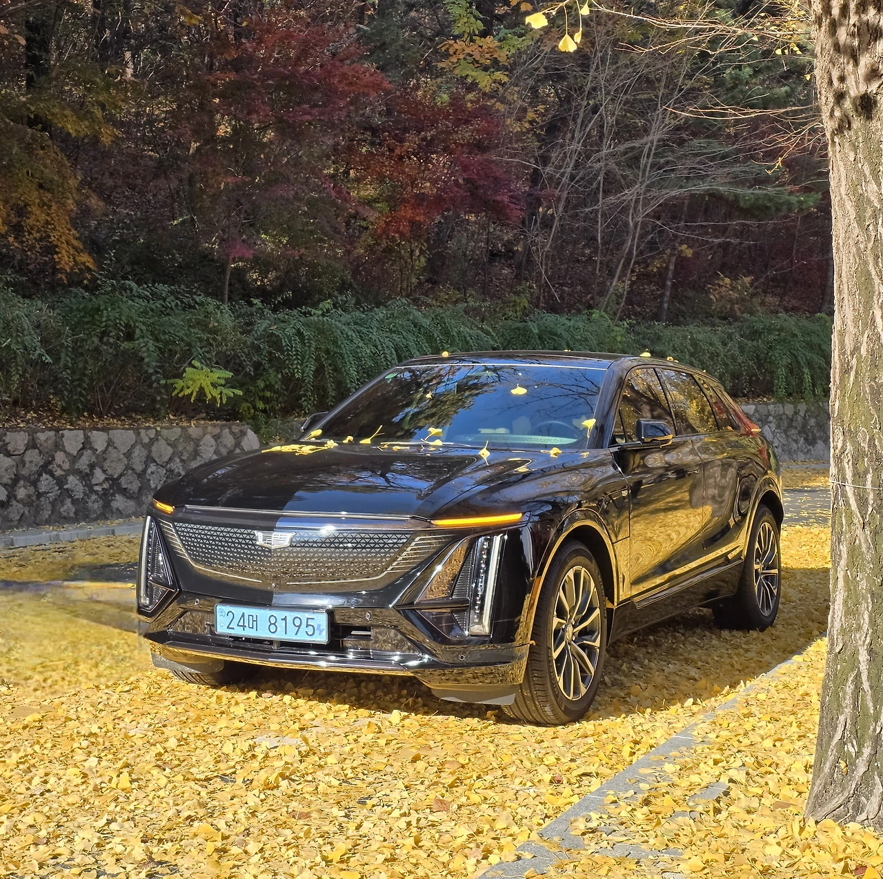 img.jpg?credential=yqXZFxpELC7KVnFOS48ylbz2pIh7yKj8&expires=1764514799&allow_ip=&allow_referer=&signature=%2FQrG7wocJW%2FD2%2BeJZFOO0K3hLFs%3D