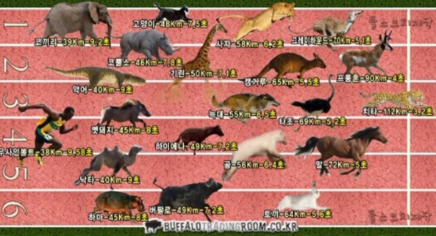 9932A83359FD00312CBC64