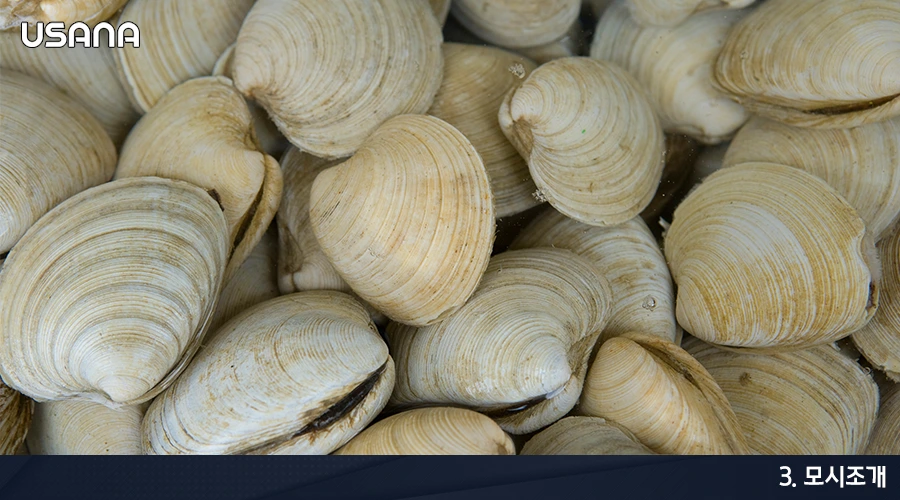 992425485A39B98F20D73C