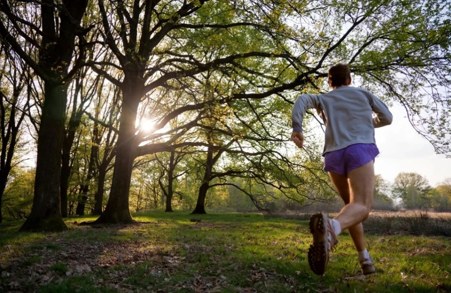 99BD0B3A5B68DD4605FF68