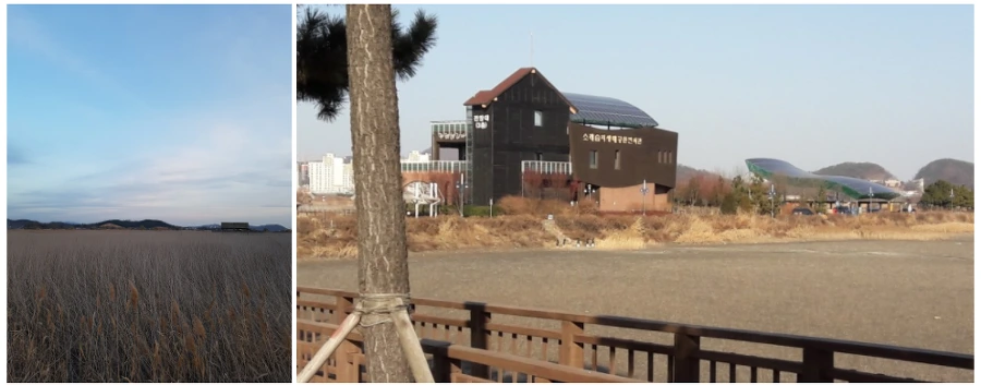 991761485A3D841D0FC81C