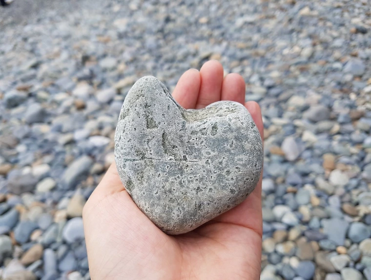 99AB0D335A0503B7204D81