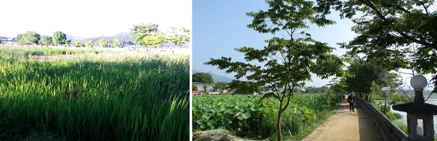 99DA423B5B04E39706EFBB