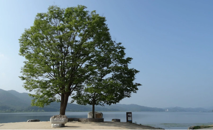 99A9854C5B04E452122BF4