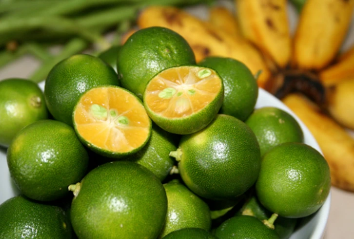 996630375BD0EAE51D889A