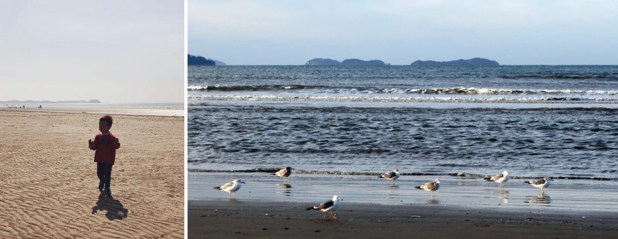 9951003359FAD94D358CA4