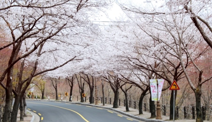 99D181475AAF5C561A0EA0