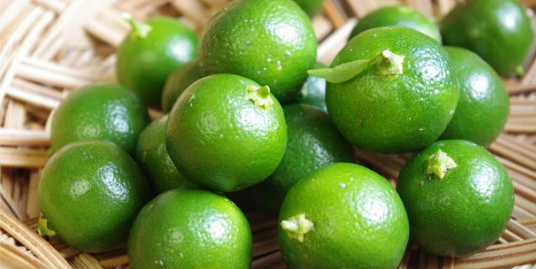 9964F2375BD0EAE51C1C0C