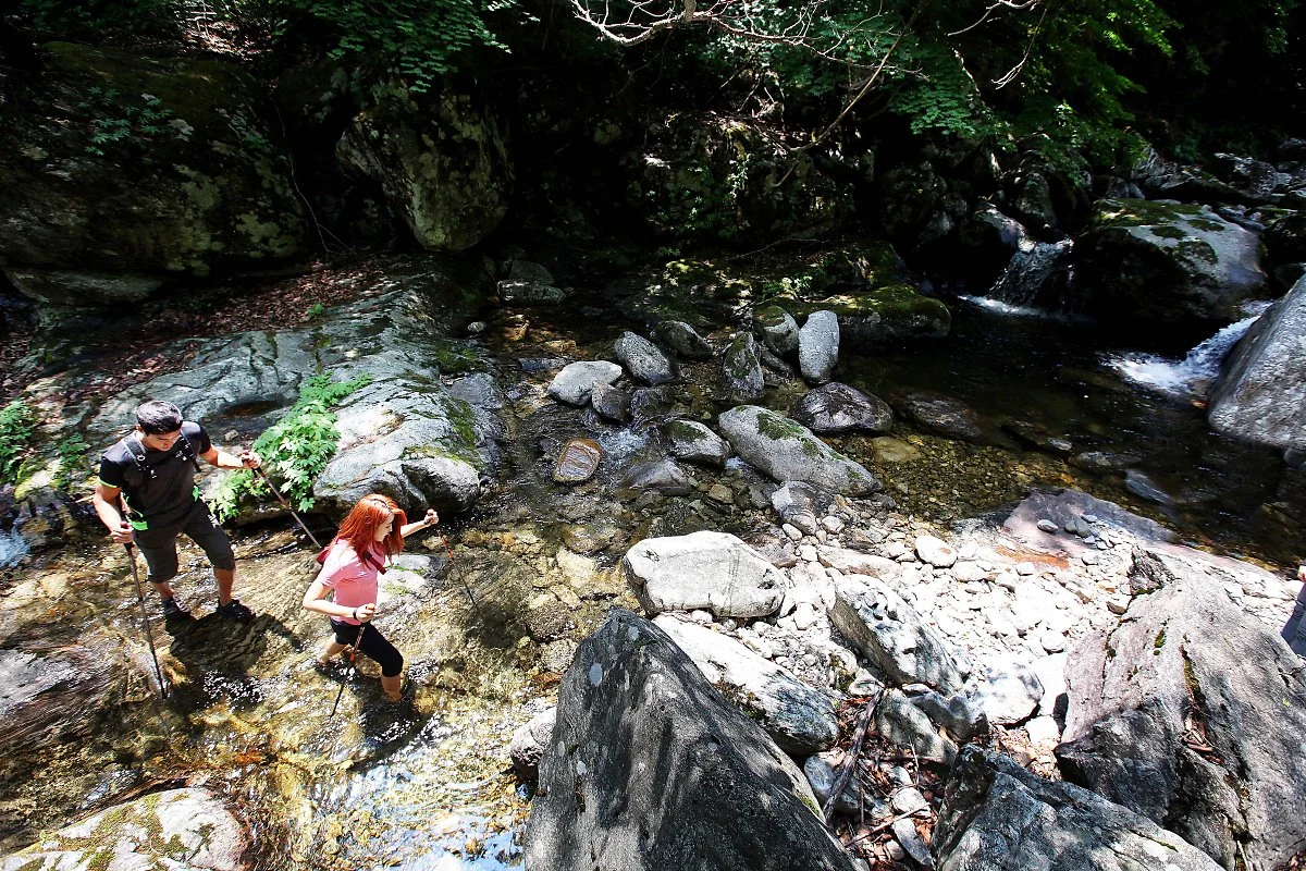 IMG_3172_copy.jpg?type=w1200