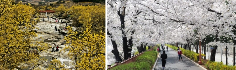 99FC814F5AAF5C4B294FFA