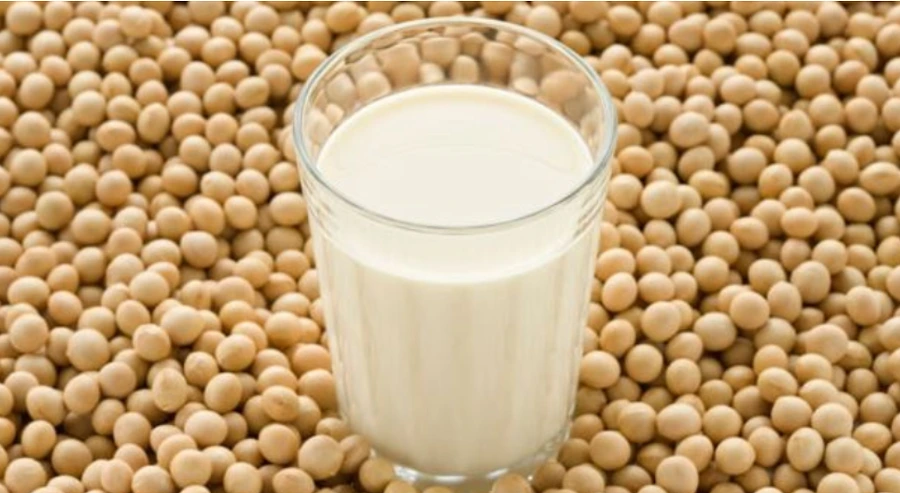 99490D445B2920C7128246