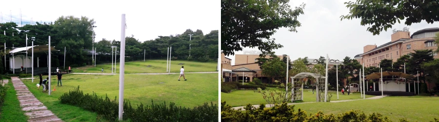 998525445BB4CF3B1A3CD0