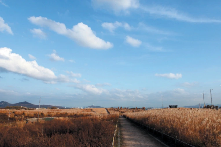 997547335A0974D71E7823