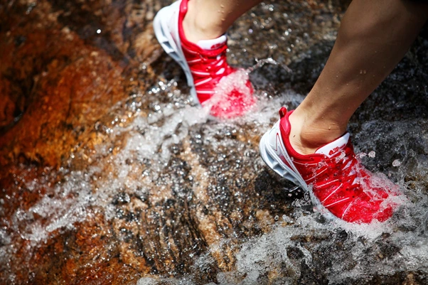 image.png?type=w1200