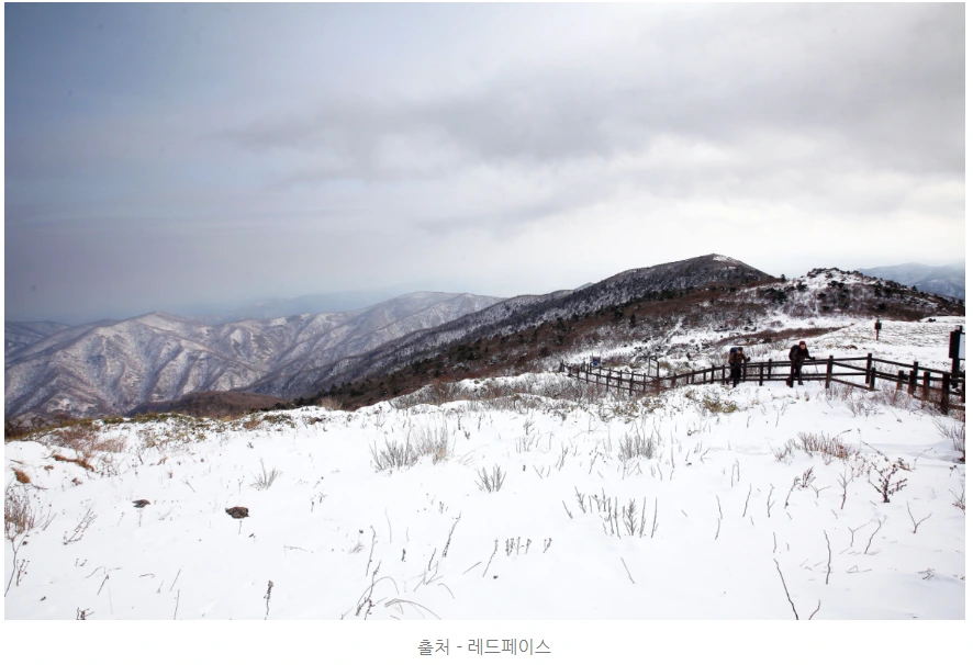 99AFD5385A52FCD70E326B