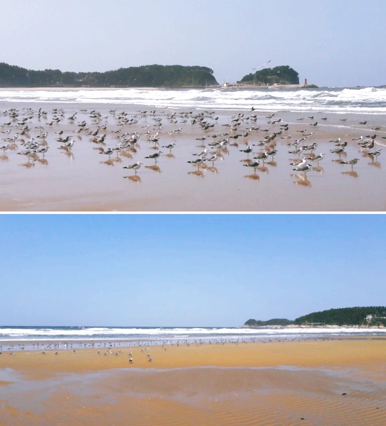 9989833359FAD9C605EBD0