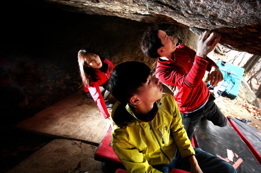 996595375AE3E14E3251DD