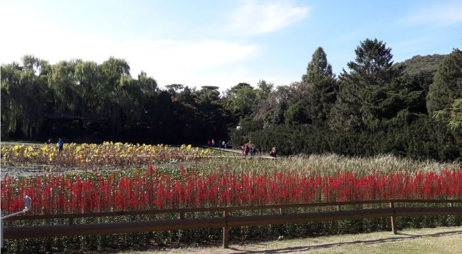 996CAA335BC2A313036955