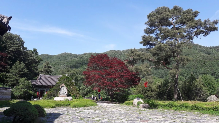 995E0D495B30F14F187837