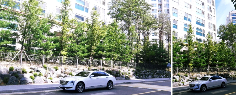 99105F4B5C203DCA266ABA