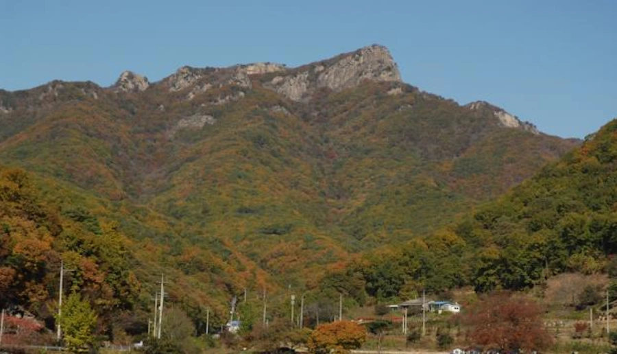 9958F83359F7D7062F4ECB