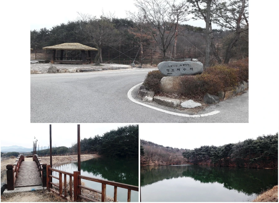 99B082485C5E4DB81CC4C8