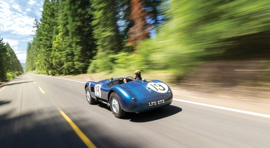 992AE94C5A765564148458