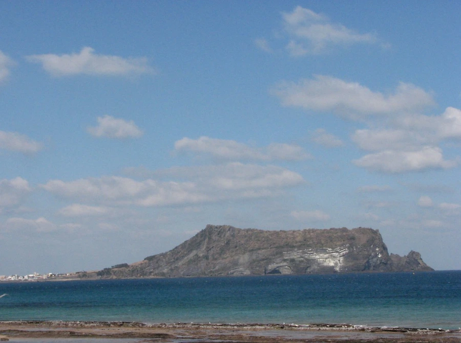 995DDC405AF754B407B46C