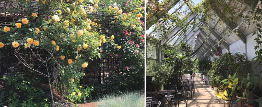 9999B1335B9A146823FA00