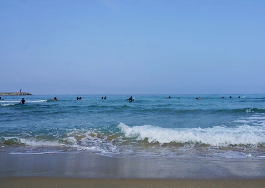 994AD43359B95411218EC7