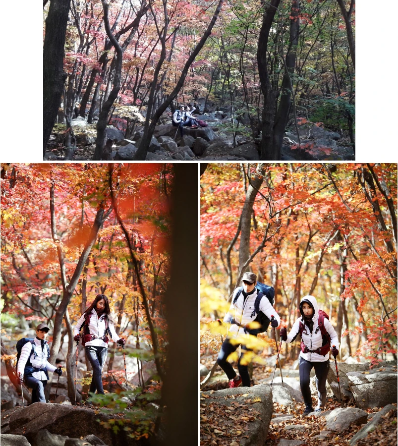 9988963359F7D8A30D4C9E