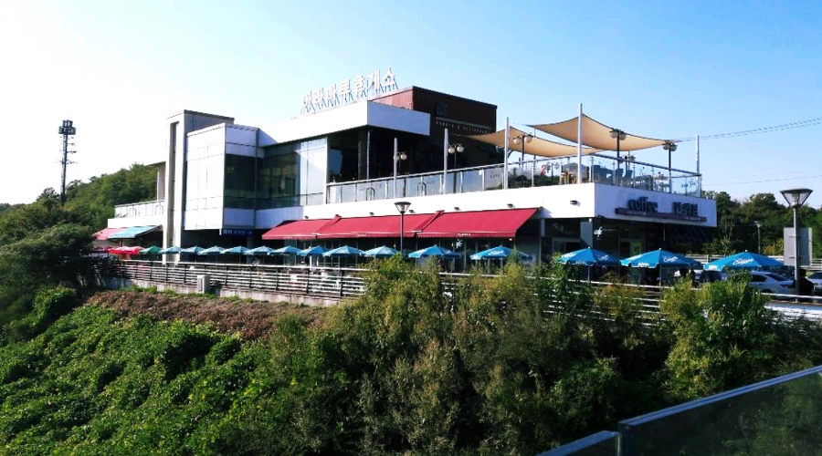 9909E83E5BC0A80E07841D