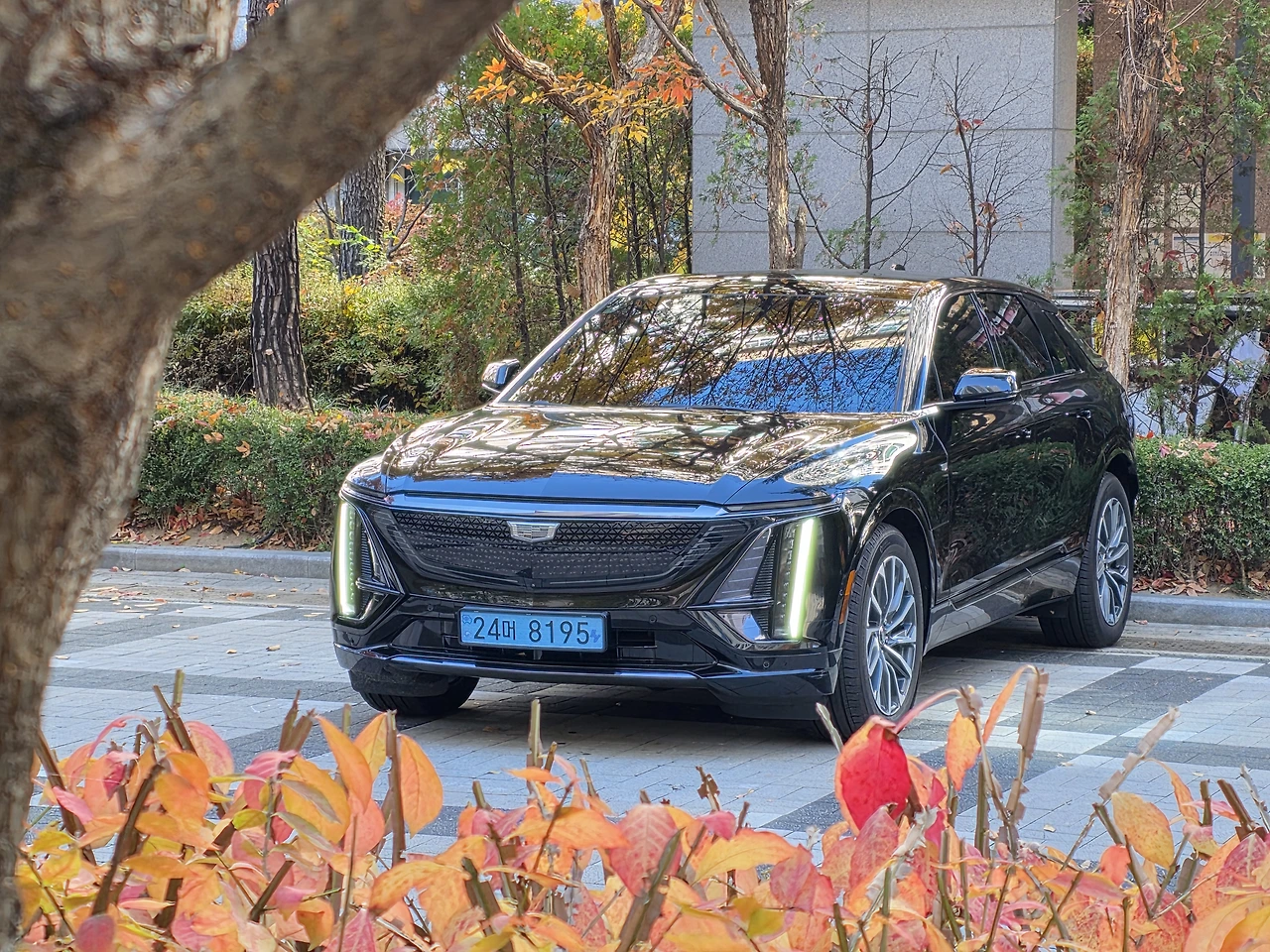 img.jpg?credential=yqXZFxpELC7KVnFOS48ylbz2pIh7yKj8&expires=1764514799&allow_ip=&allow_referer=&signature=cJfIp7YI2vcj2D85XgO8U4U5O4E%3D