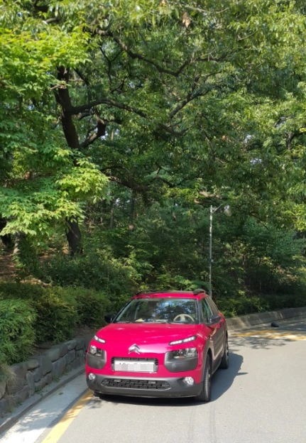 image_933729281500626599713.png?type=w1200