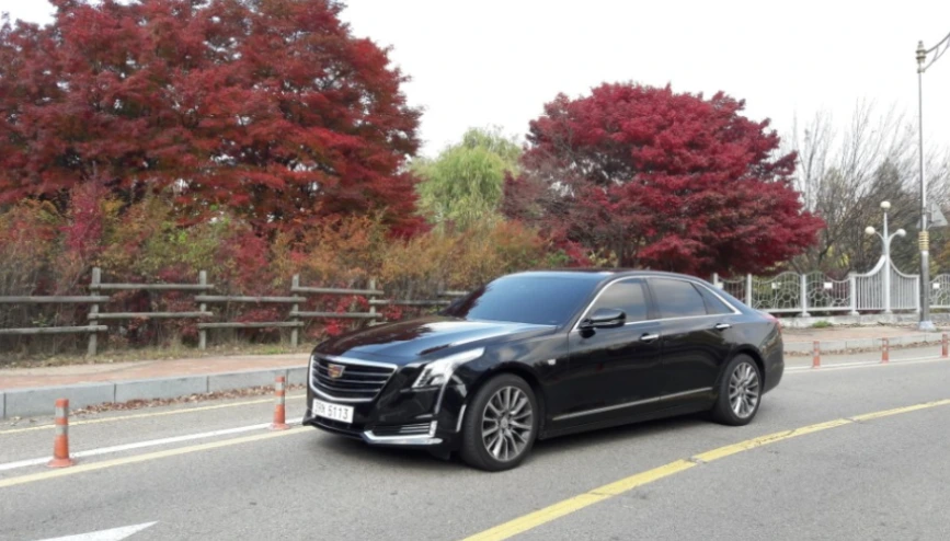 99DC26335A0FC0F201AB8A