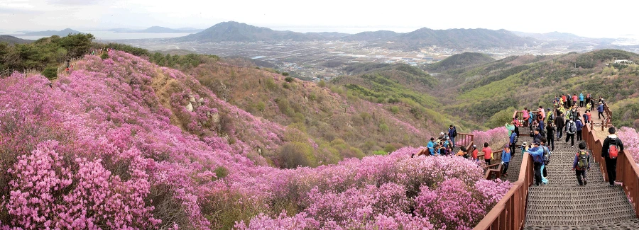 9924B34F5AAF5C520FF3B7