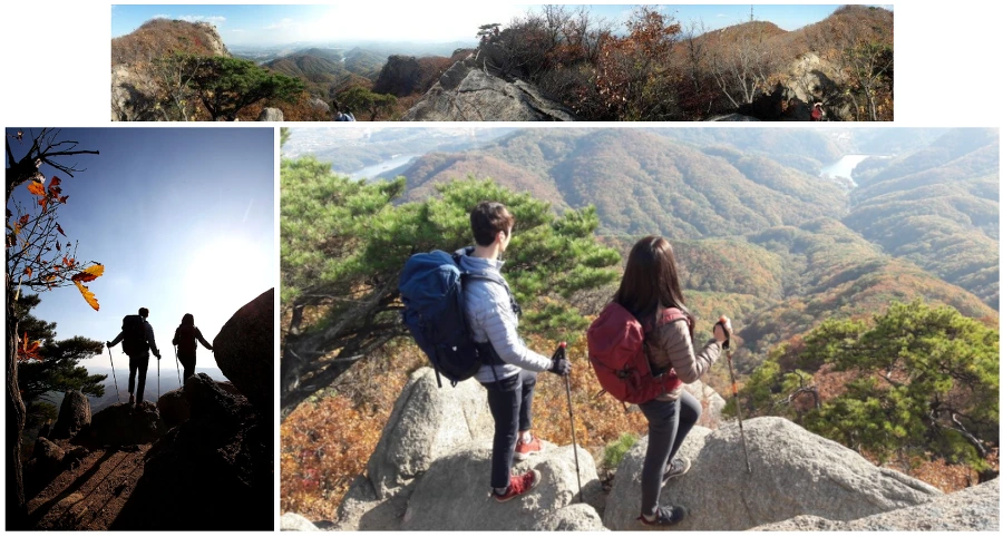 9971773359F7D8A90F8436