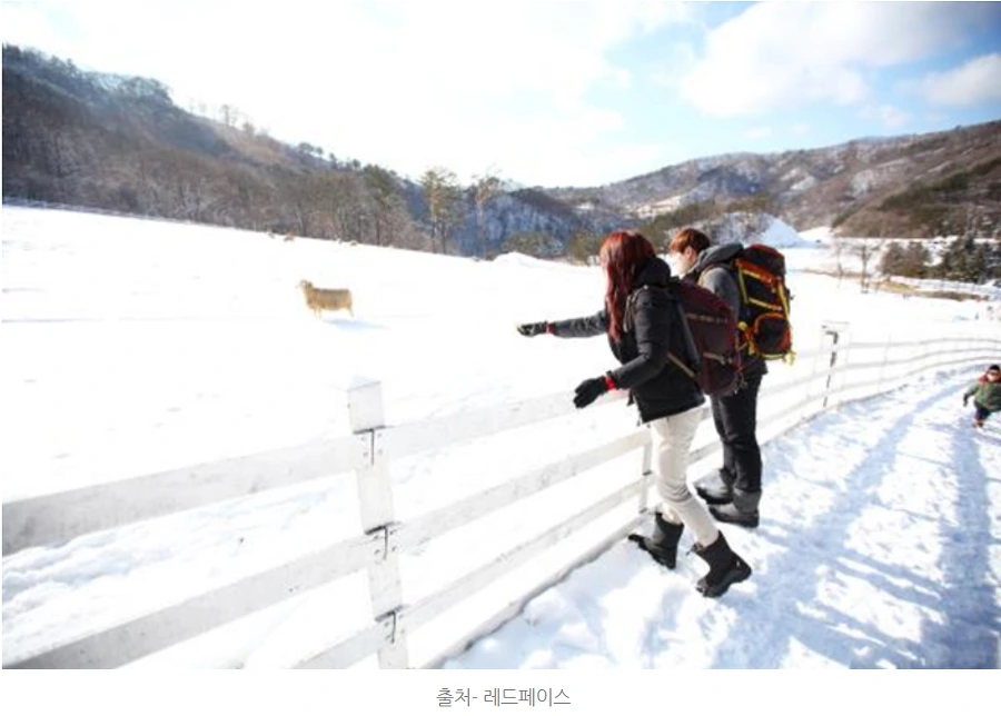 99C83C355A52FDB203F302