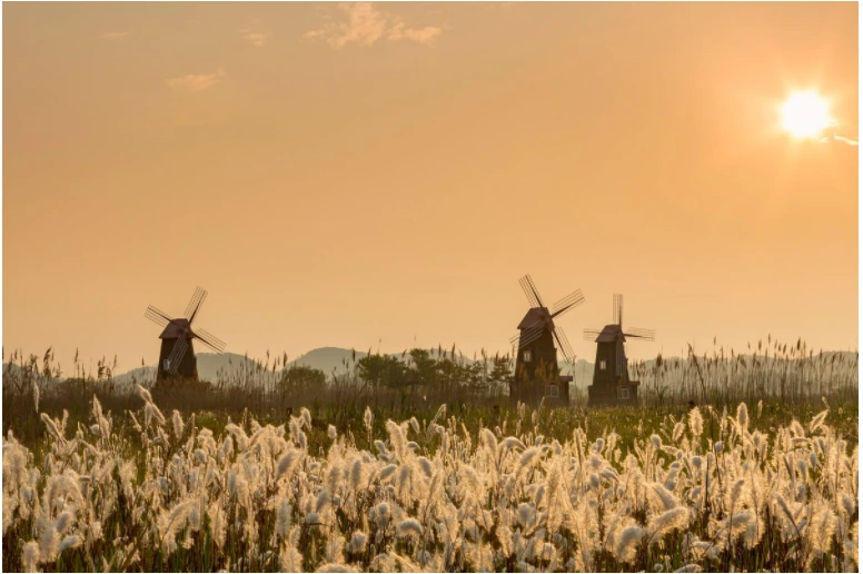 9908FD485A3D841B106938