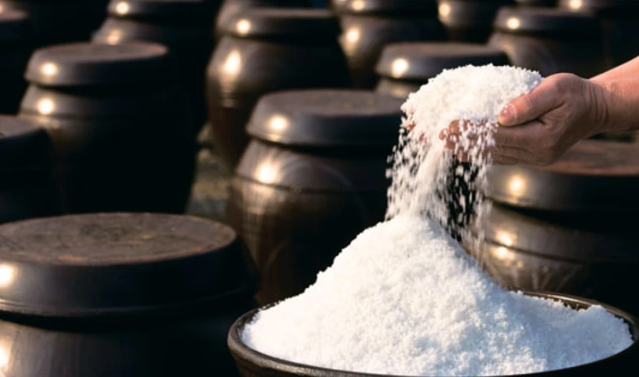 990219495BE6519E2FC6A7