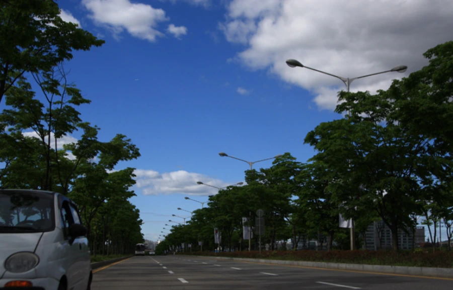 995F294E5C8AEDD72CDFEB