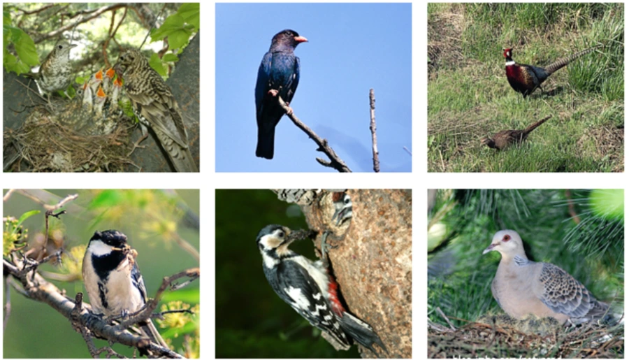 99918C405B16B4CE03DD1E