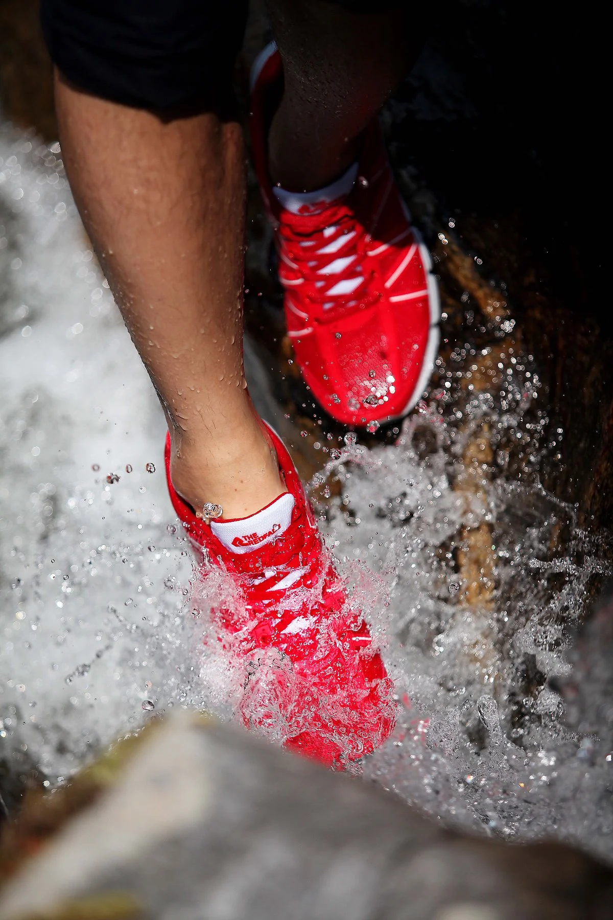 IMG_3420_copy.jpg?type=w1200